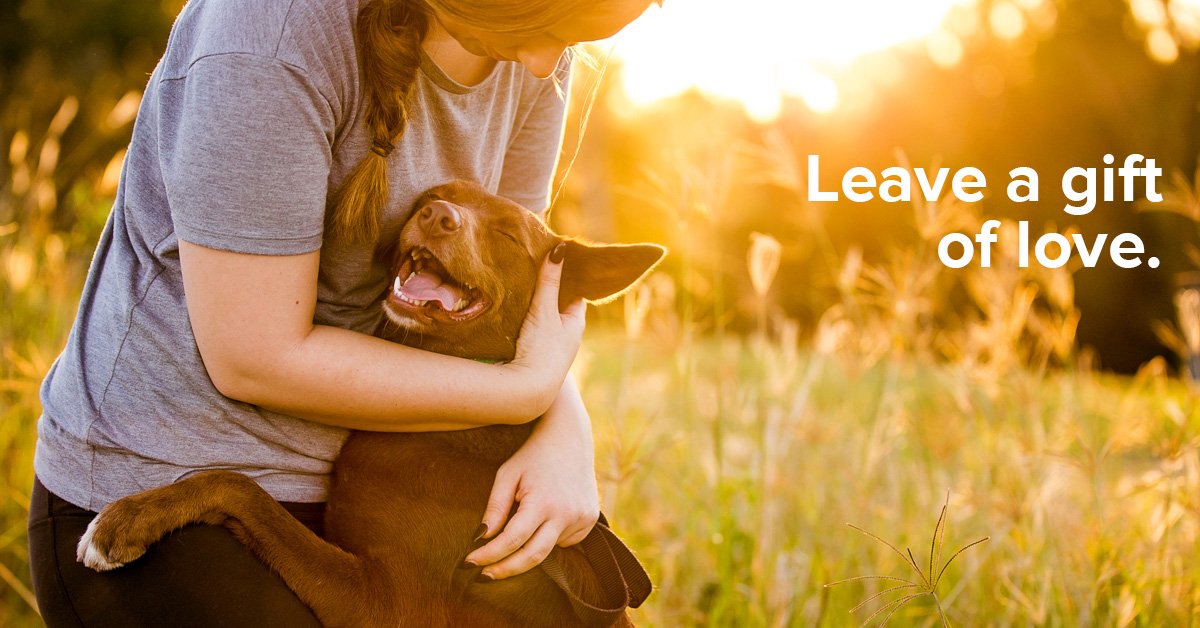 Give a gift of love. Give a gift of love.